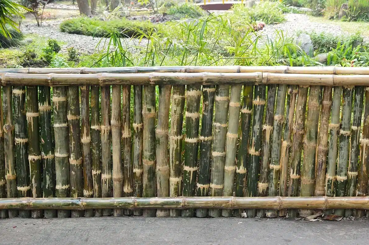 Backyard Bamboo Fence Design 
