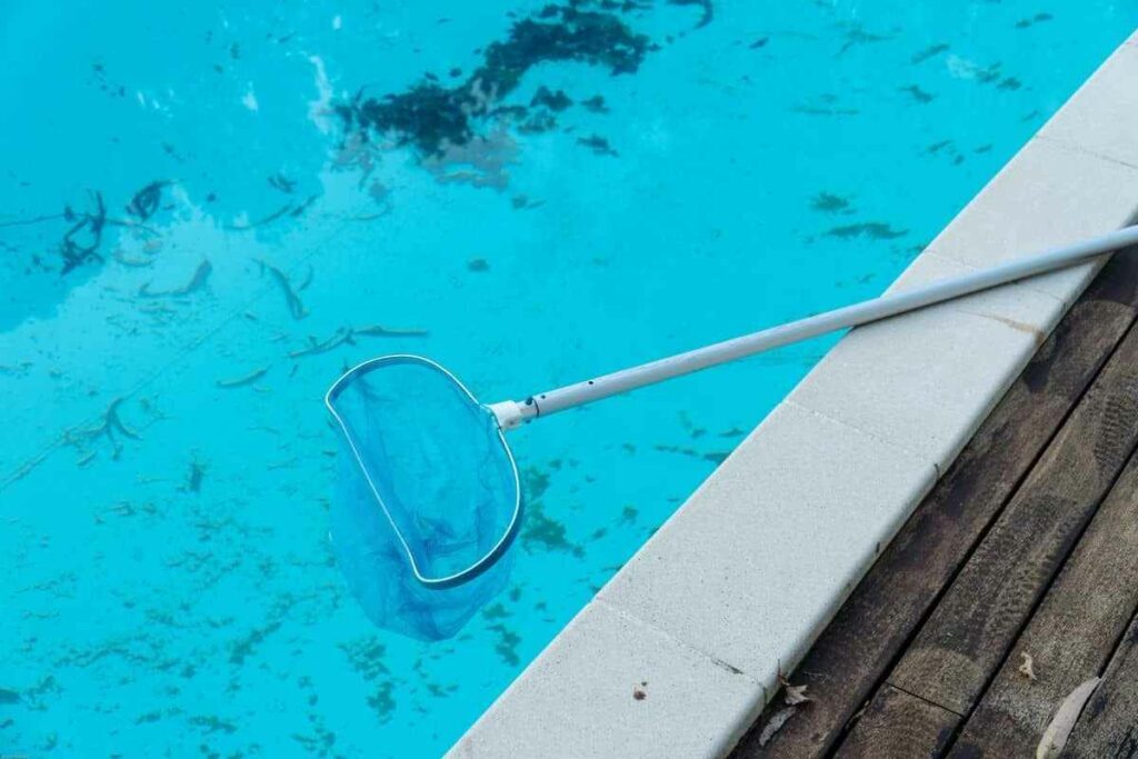 How To Remove Dead Algae From A Pool Without A Vacuum?